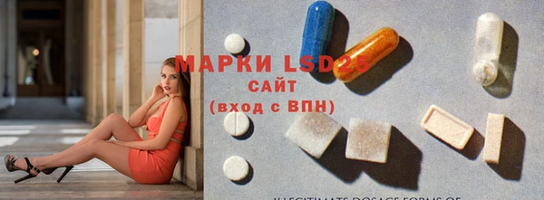 ECSTASY Козловка