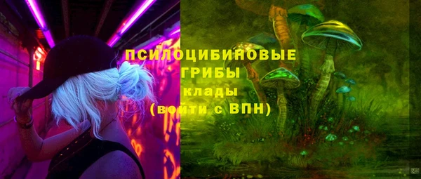 ECSTASY Козловка